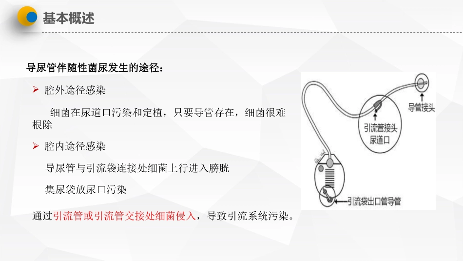 导尿管相关尿路感染预防与控制_第9页
