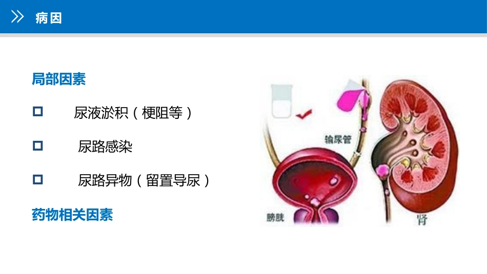 上尿路结石护理疑难病例讨论_第13页