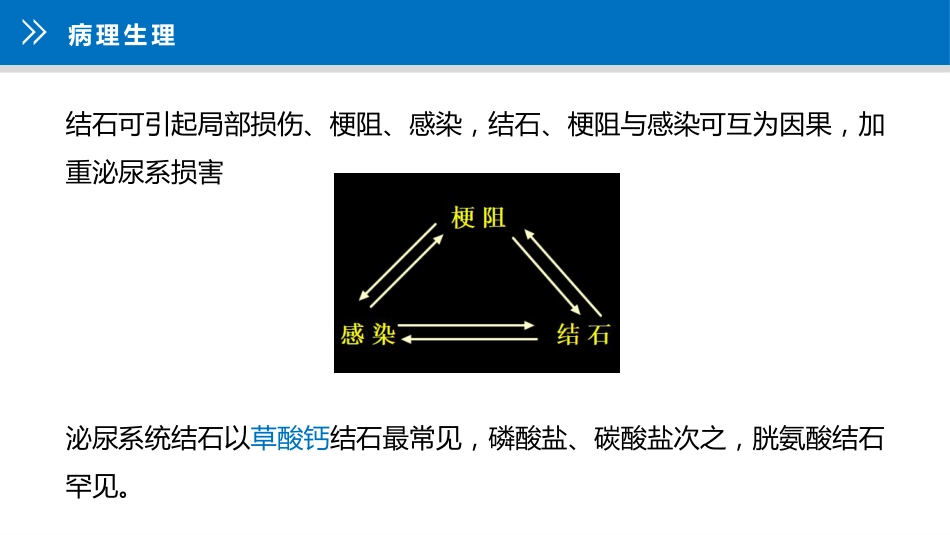 上尿路结石护理疑难病例讨论_第15页