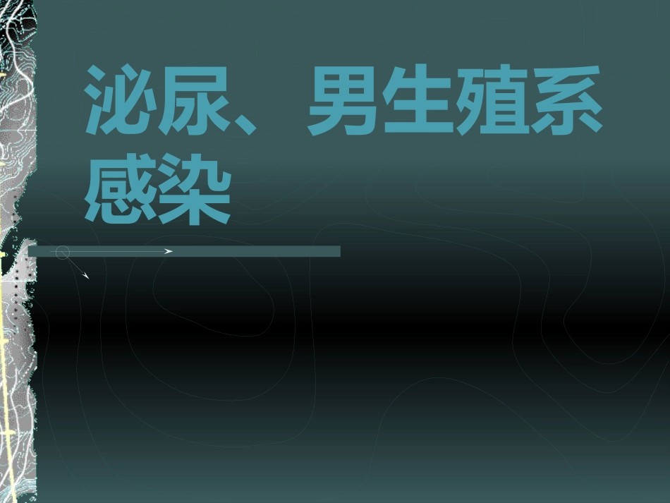 《泌尿系感染》_第1页