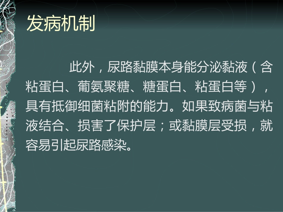 《泌尿系感染》_第10页