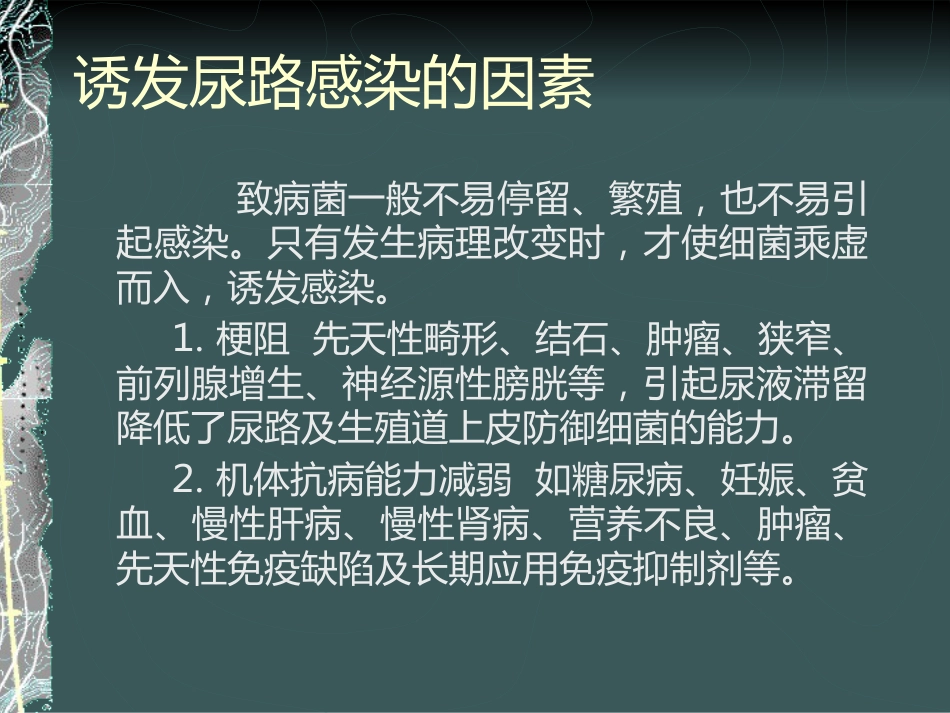 《泌尿系感染》_第11页