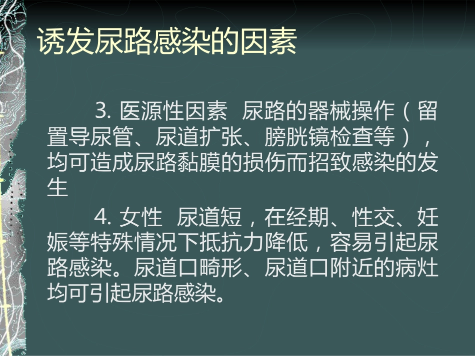 《泌尿系感染》_第12页