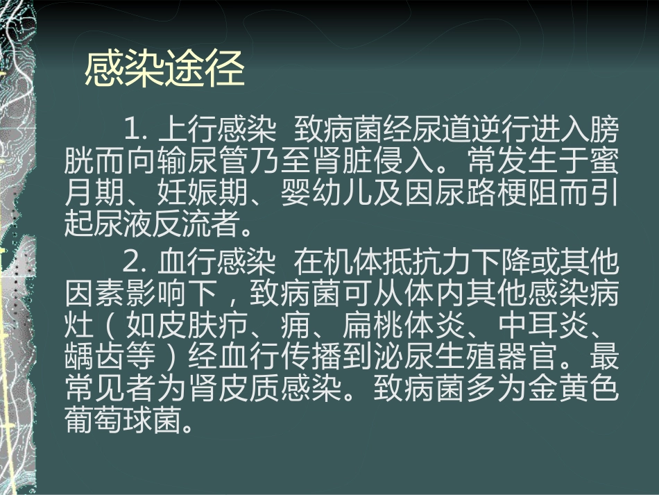 《泌尿系感染》_第13页