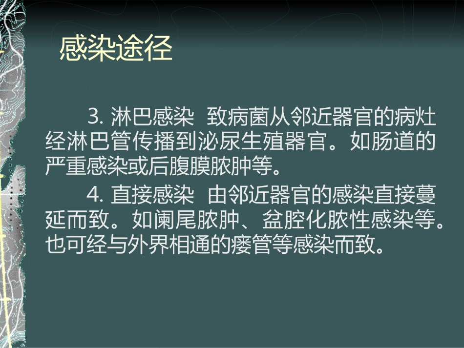 《泌尿系感染》_第14页