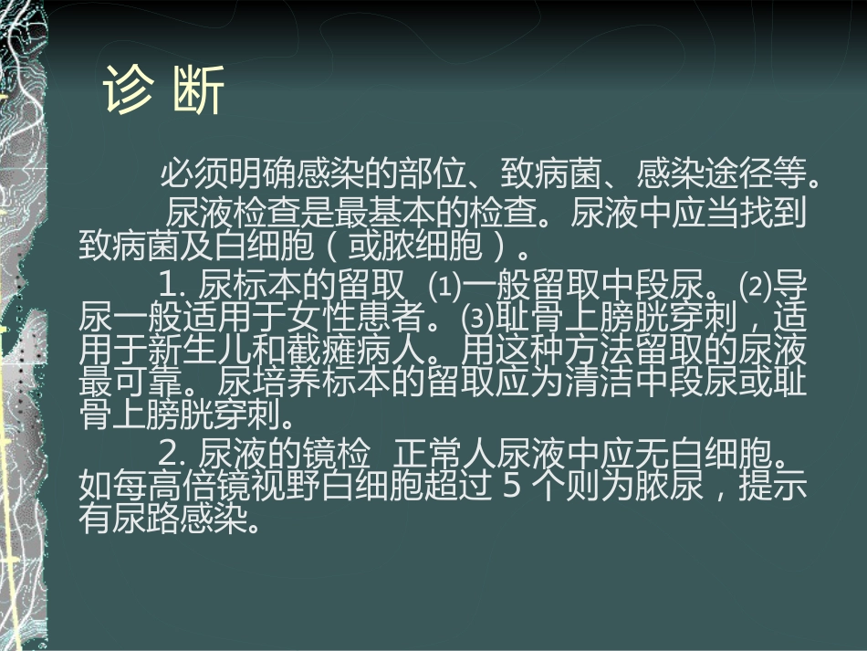 《泌尿系感染》_第15页