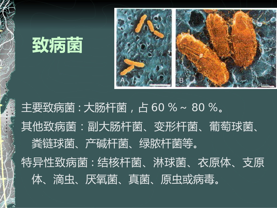 《泌尿系感染》_第7页