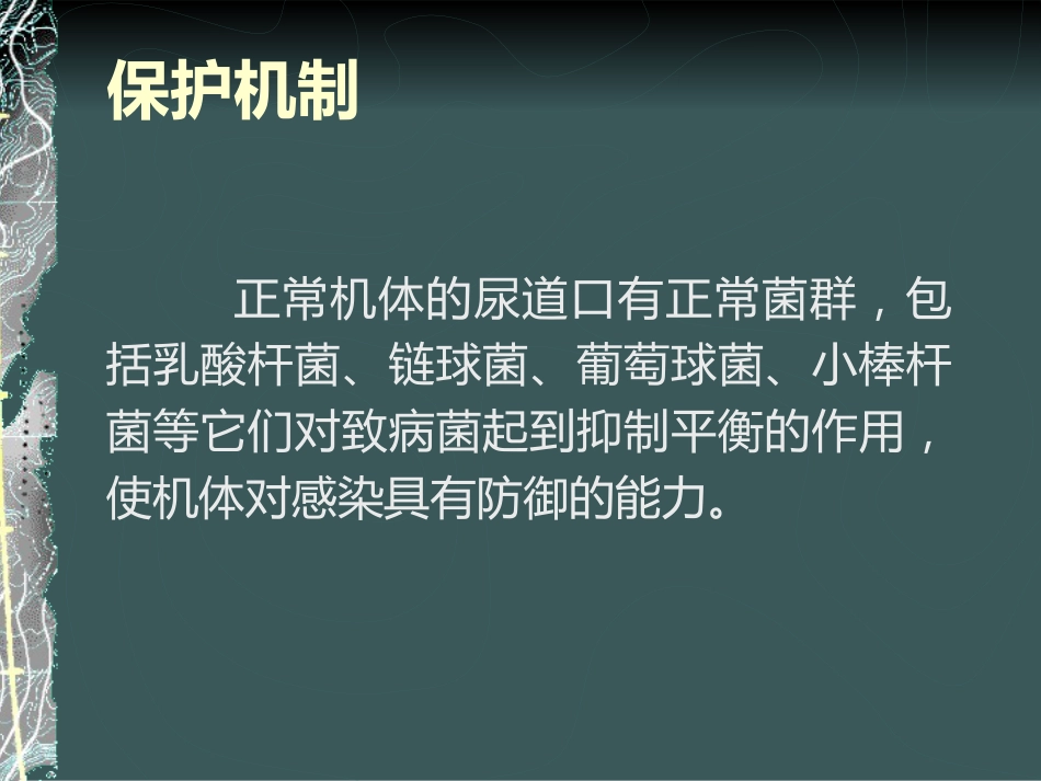 《泌尿系感染》_第8页
