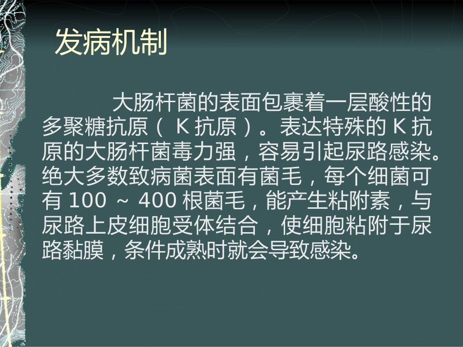 《泌尿系感染》_第9页