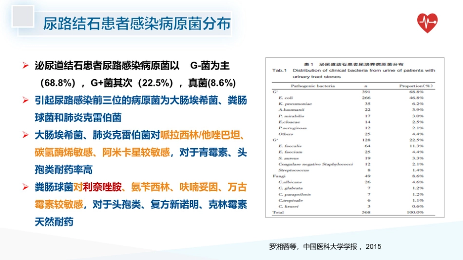 泌尿系统结石术后感染预防_第12页
