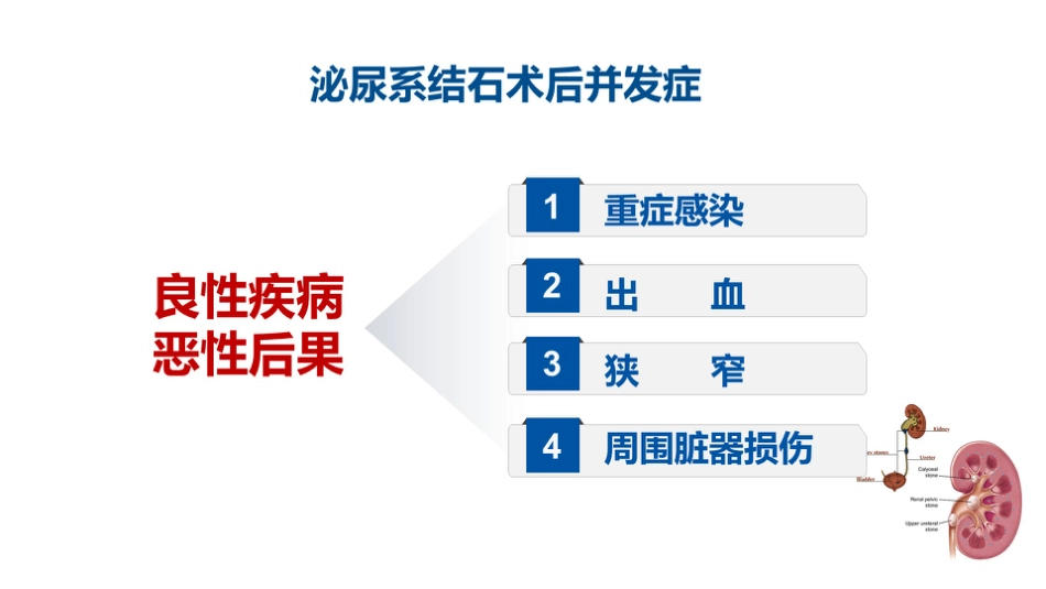 泌尿系统结石术后感染预防_第2页