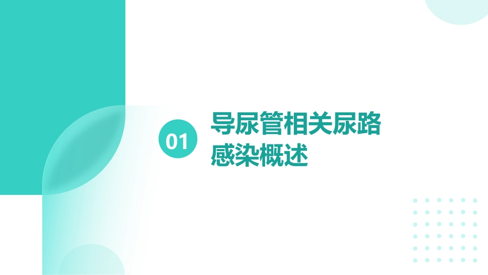 导尿管相关尿路感染预防与控制ppt_第3页