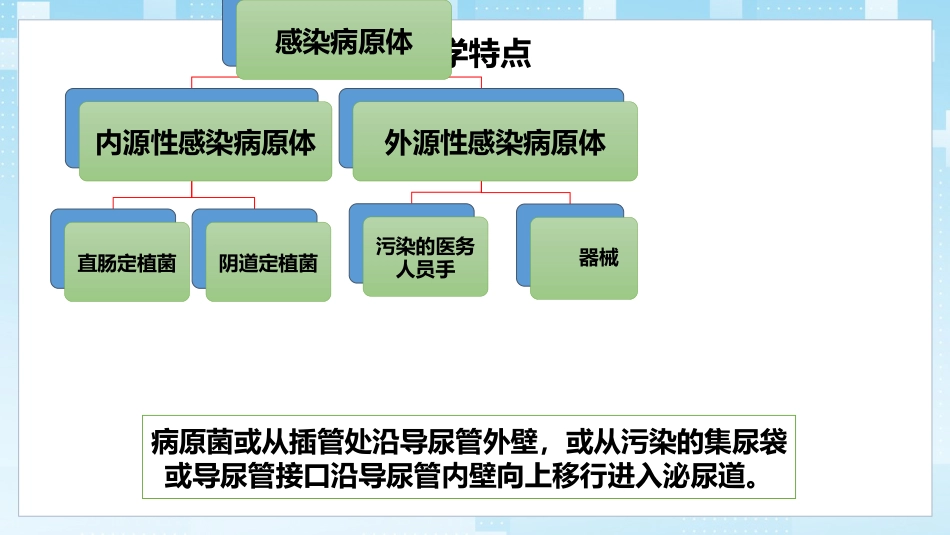 导尿管相关尿路感染与防控_第10页