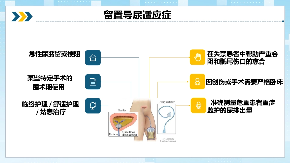 导尿管相关尿路感染与防控_第13页