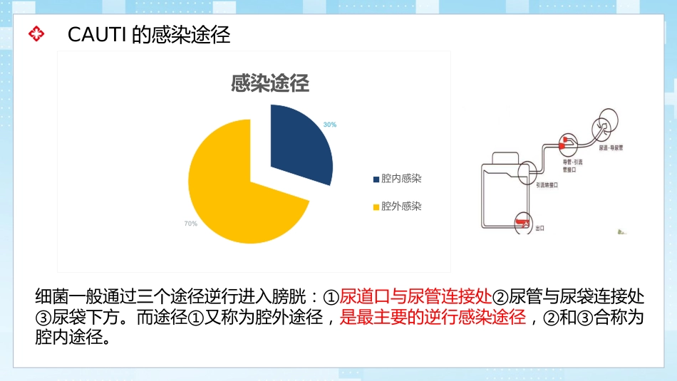 导尿管相关尿路感染与防控_第5页