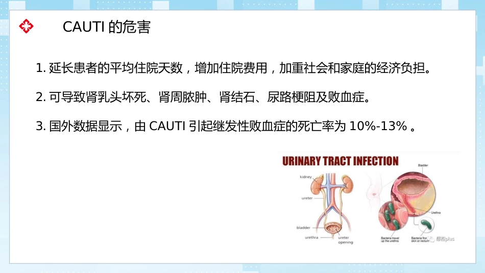 导尿管相关尿路感染与防控_第7页