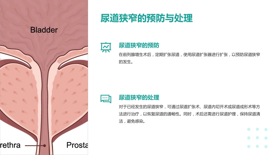 前列腺增生术后护理查房ppt_第13页