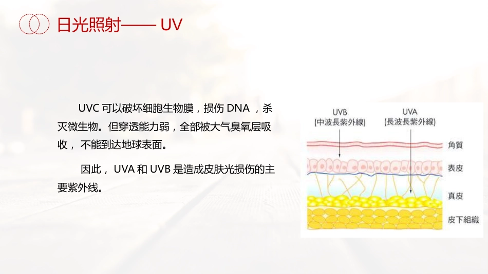 《皮肤防晒专家共识》解读_第10页