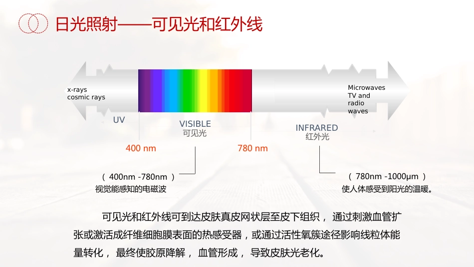 《皮肤防晒专家共识》解读_第12页