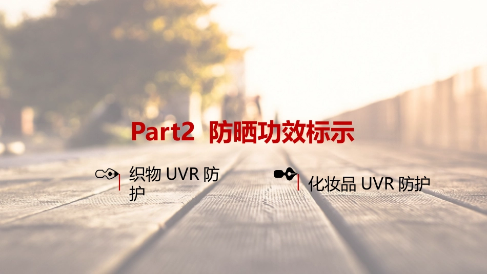 《皮肤防晒专家共识》解读_第13页