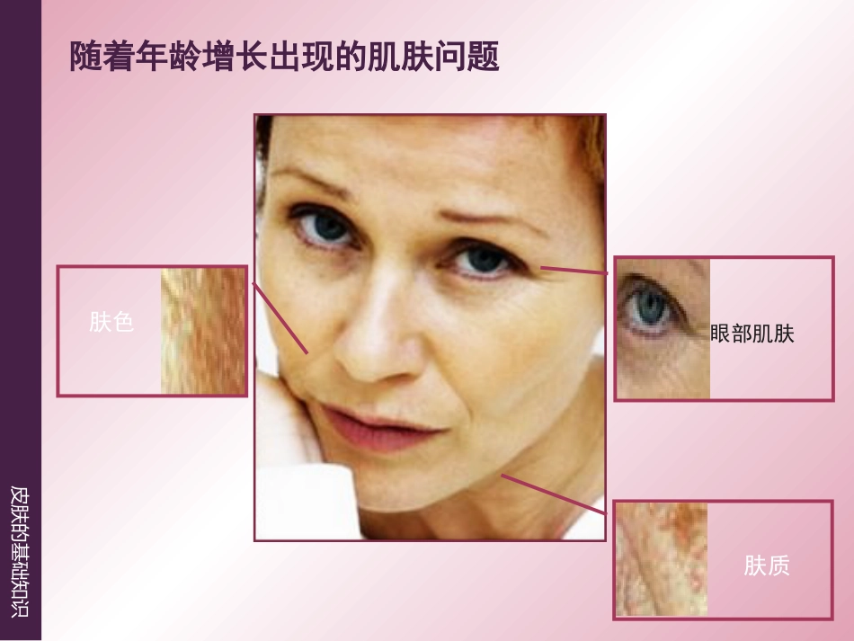 《皮肤的基础知识》_第13页