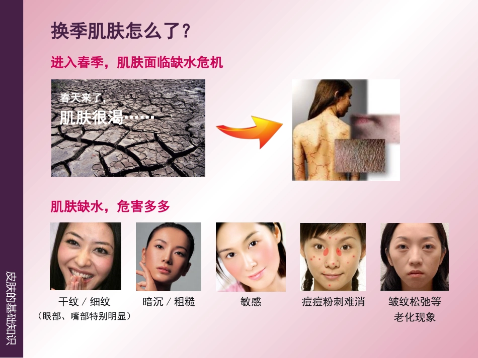 《皮肤的基础知识》_第15页