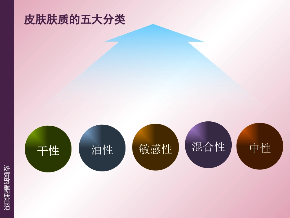 《皮肤的基础知识》_第7页