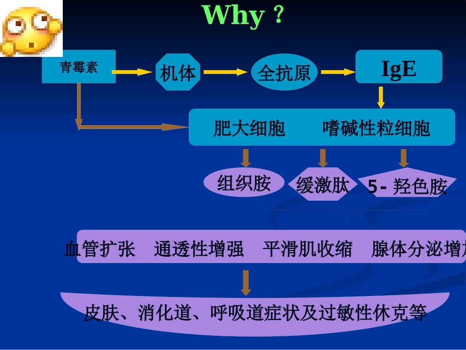 《药物过敏试验》PPT课件_第10页