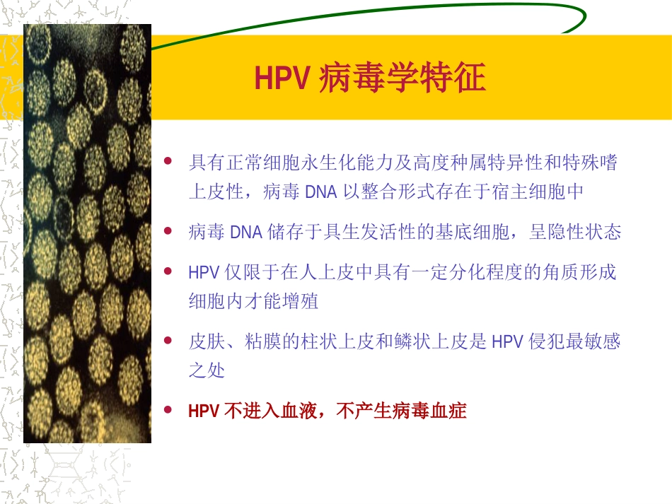 HPV感染治疗的临床管理路径3ppt【64页】_第10页
