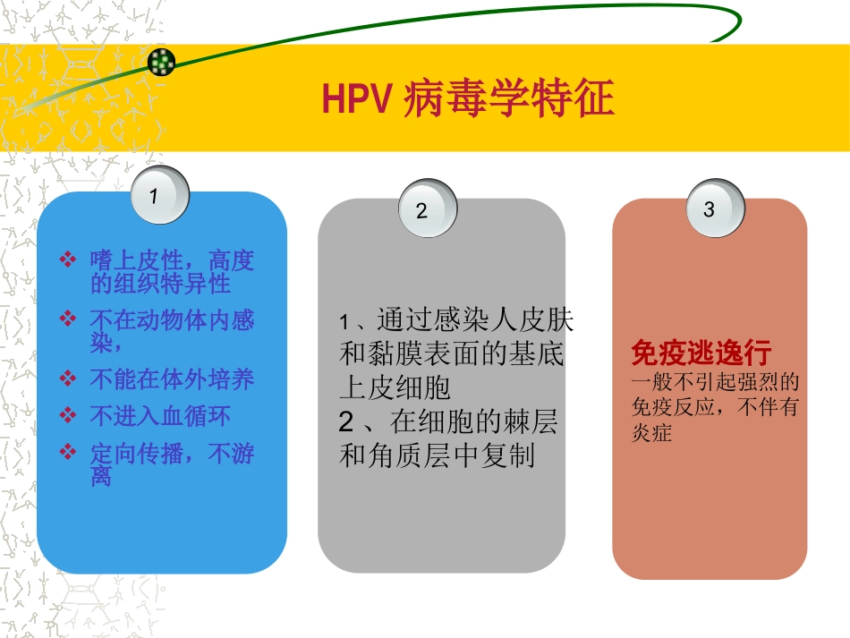 HPV感染治疗的临床管理路径3ppt【64页】_第11页