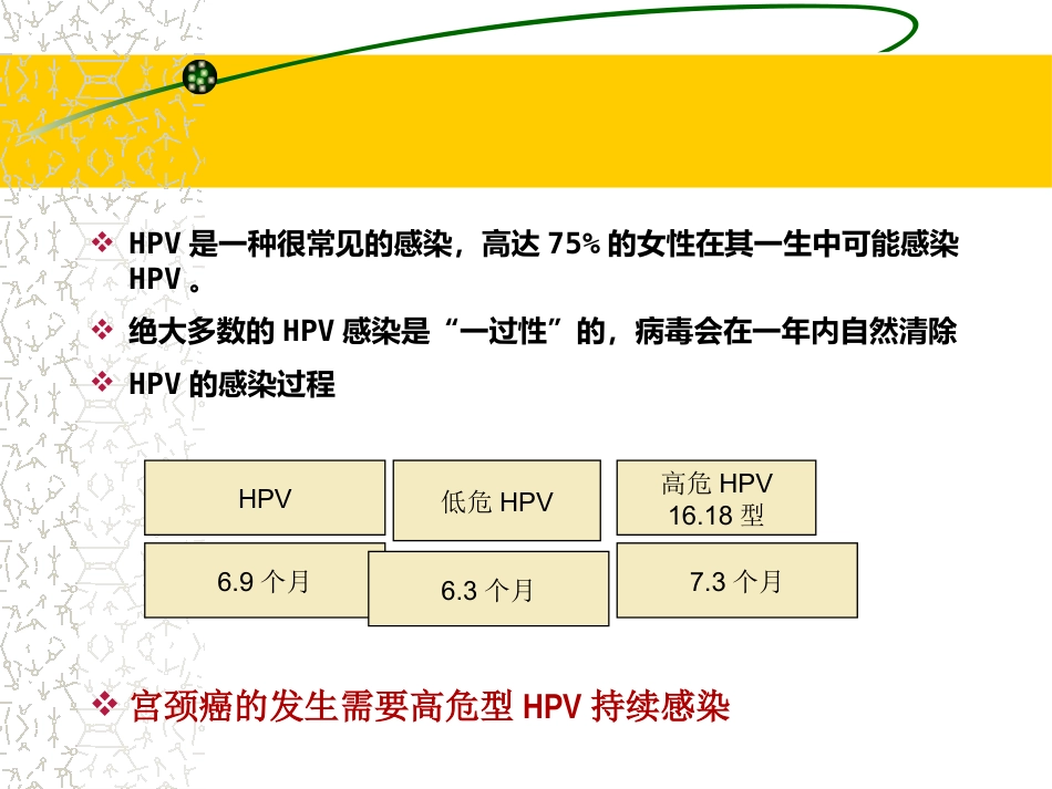 HPV感染治疗的临床管理路径3ppt【64页】_第12页