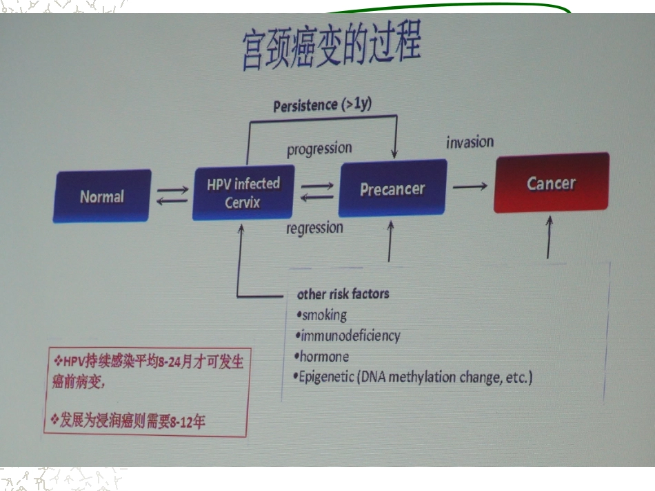 HPV感染治疗的临床管理路径3ppt【64页】_第13页