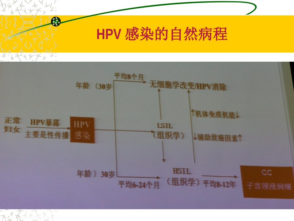HPV感染治疗的临床管理路径3ppt【64页】_第14页