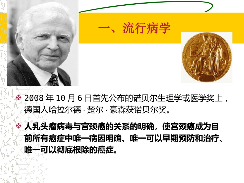 HPV感染治疗的临床管理路径3ppt【64页】_第3页