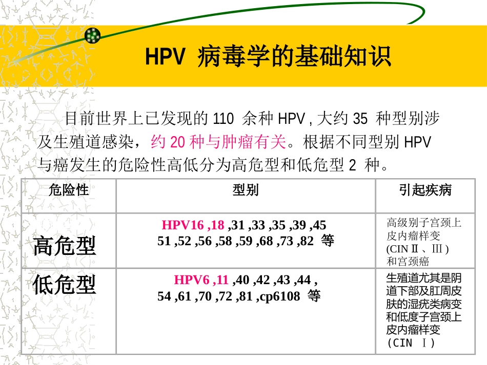 HPV感染治疗的临床管理路径3ppt【64页】_第7页
