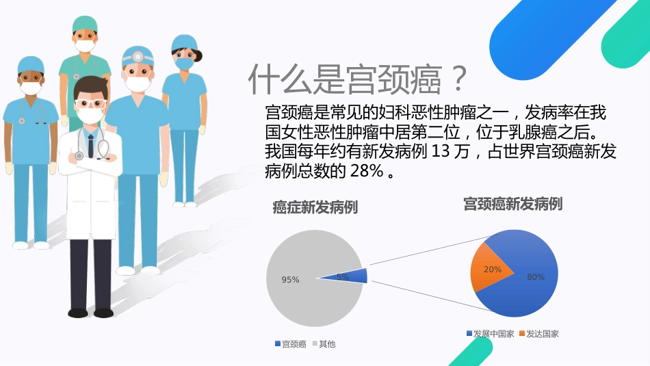 宫颈癌与HPV疫苗【13页】_第2页