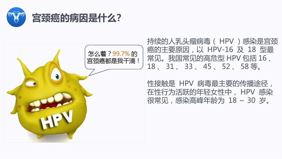 宫颈癌与HPV疫苗【13页】_第4页