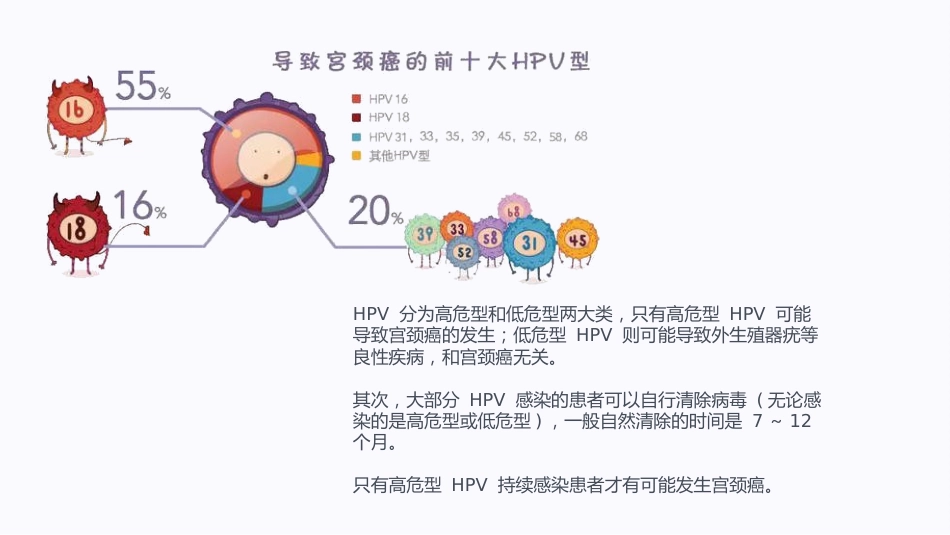 宫颈癌与HPV疫苗【13页】_第5页