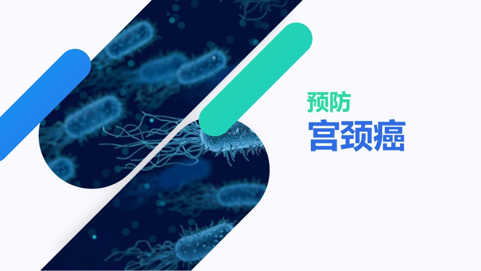宫颈癌与HPV疫苗【13页】_第7页