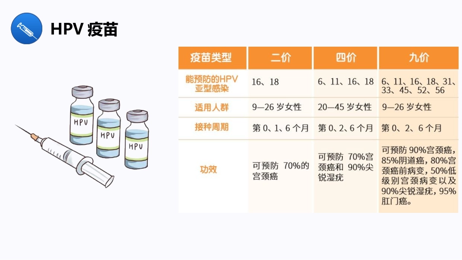 宫颈癌与HPV疫苗【13页】_第8页