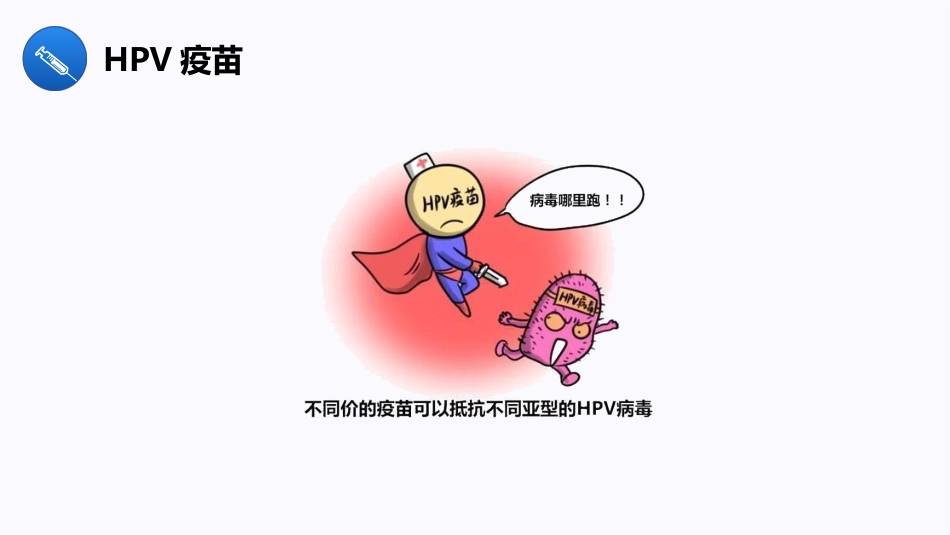宫颈癌与HPV疫苗【13页】_第9页