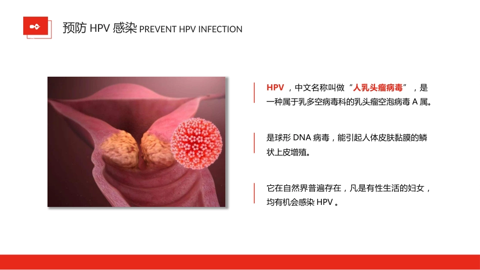 宫颈癌和HPV疫苗科普宣传【16页】_第7页