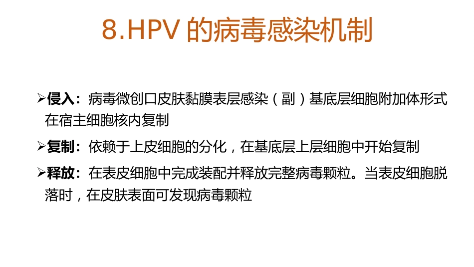 宫颈癌和HPV的介绍及其关系【18页】_第10页