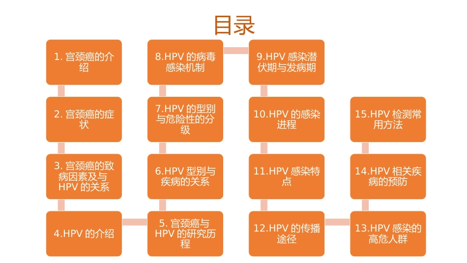 宫颈癌和HPV的介绍及其关系【18页】_第2页