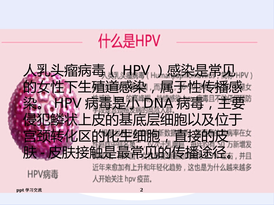 宫颈癌疫苗与HPVppt课件【18页】_第2页