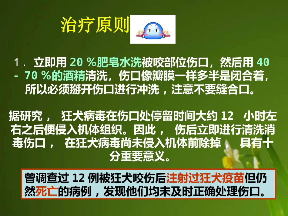 狂犬病病毒【18页】_第12页