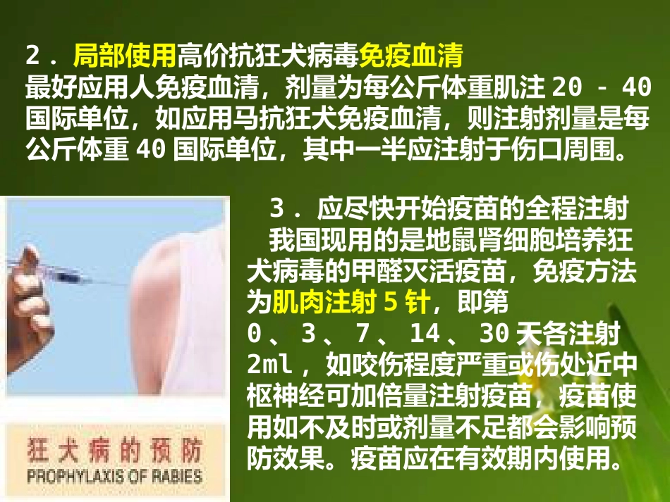 狂犬病病毒【18页】_第13页
