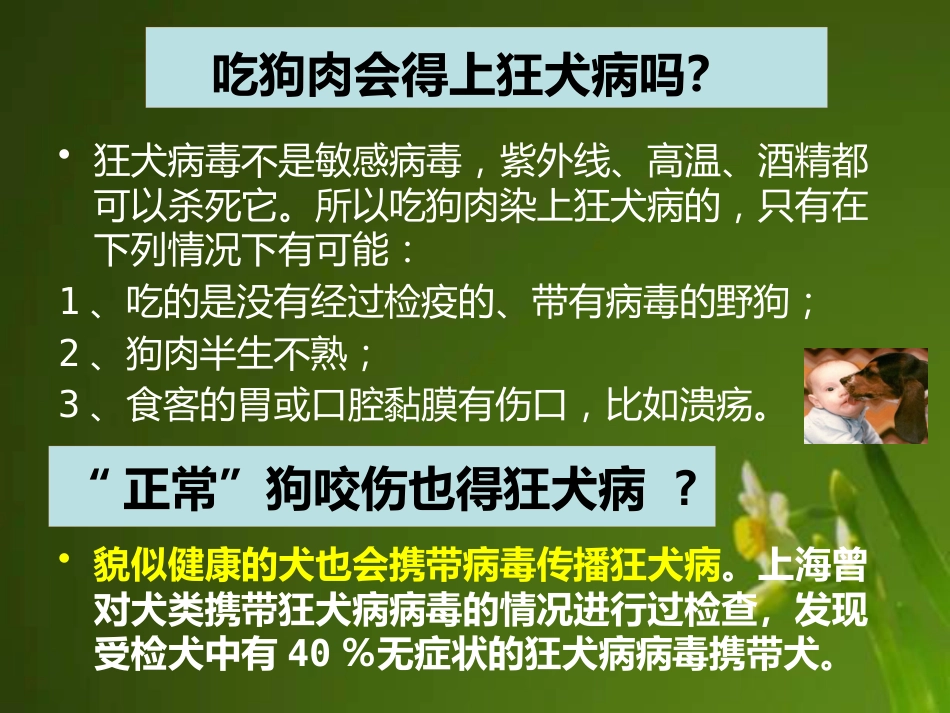 狂犬病病毒【18页】_第15页