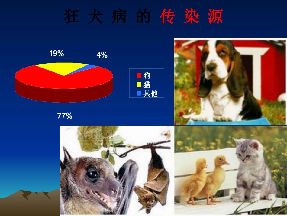 狂犬病病毒【18页】_第6页