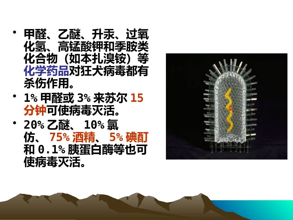 狂犬病病毒【18页】_第9页